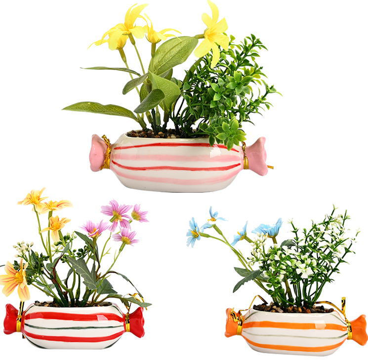 candy planter Candy Planter
