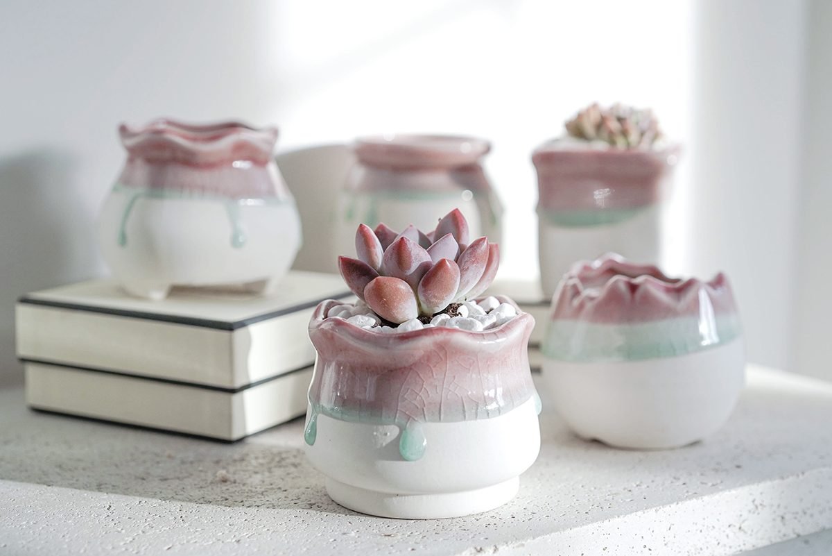 Mini Spring Ceramic Small Ceramic Planters – 2–3 Inch Mini Pots | Springer Decor