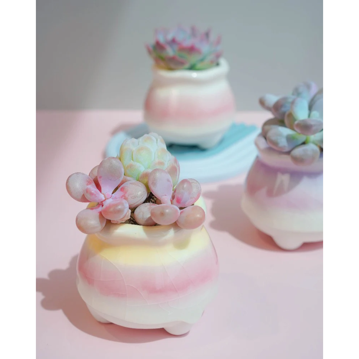 lotus potting mix Small Ceramic Planters – 2–3 Inch Mini Pots